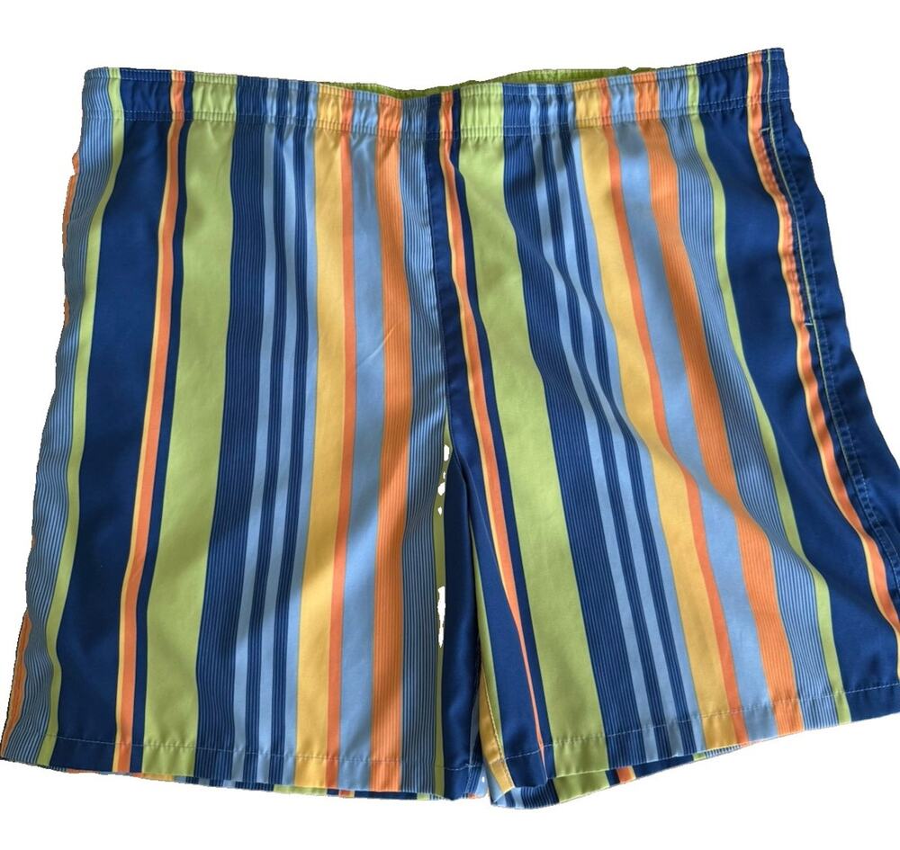 Alex Cannon Men’s Swim Trunks Multicolor Stripe Quick Dry Size Large